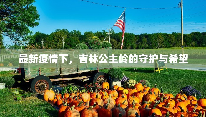 丰县今天最新通知疫情：科学防控，守护健康家园