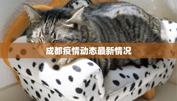 成都疫情动态最新情况