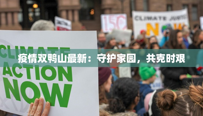 疫情双鸭山最新:守护家园,共克时艰 疫情双鸭山最新:守护家园,共克时艰