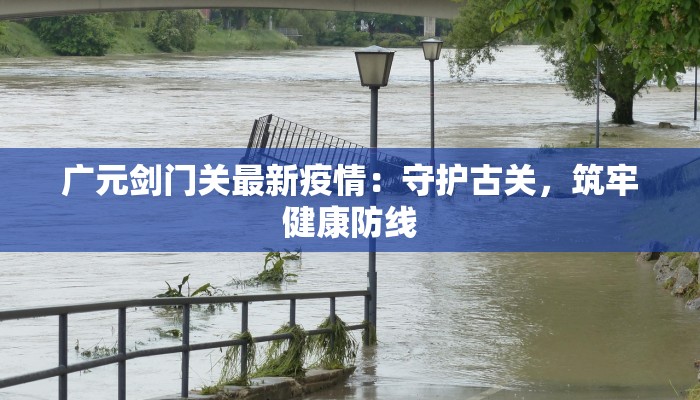 湖北最新疫情数：科学防控下的韧性与希望