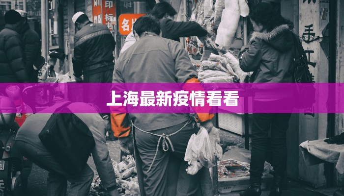 上海最新疫情看看