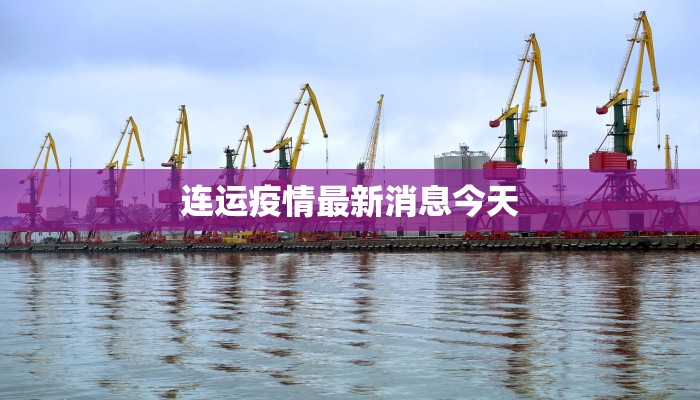 吴泾最新通知疫情：守护社区健康的温暖指南