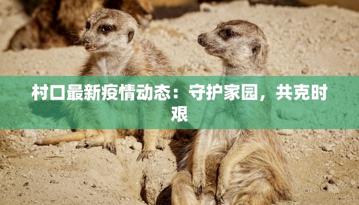 宝安疫情状况最新消息