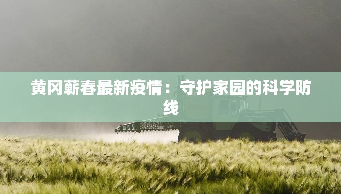 黄冈蕲春最新疫情：守护家园的科学防线