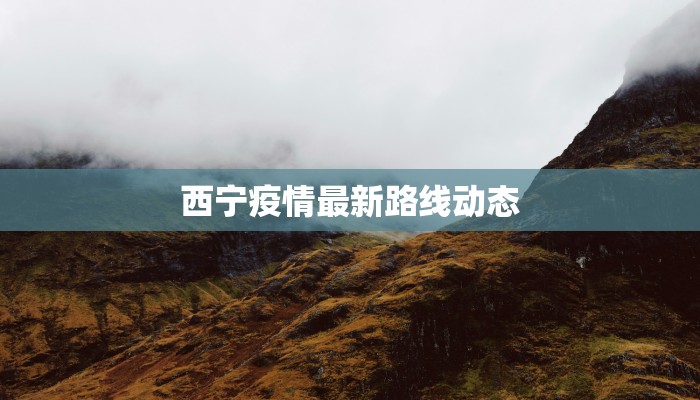 杭州疫情风险发布最新