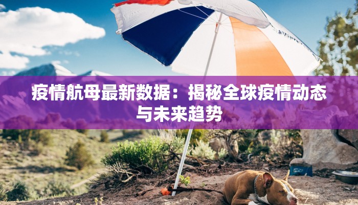 最新的哈市疫情通报