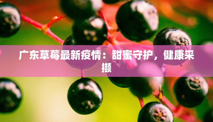广东草莓最新疫情:甜蜜守护,健康采撷 广东草莓最新疫情:甜蜜守护,健康采撷