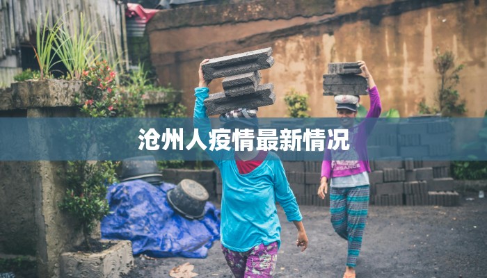 沧州人疫情最新情况