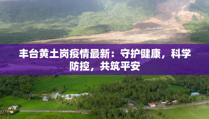 丰台黄土岗疫情最新:守护健康,科学防控,共筑平安 丰台黄土岗疫情最新:守护健康,科学防控,共筑平安