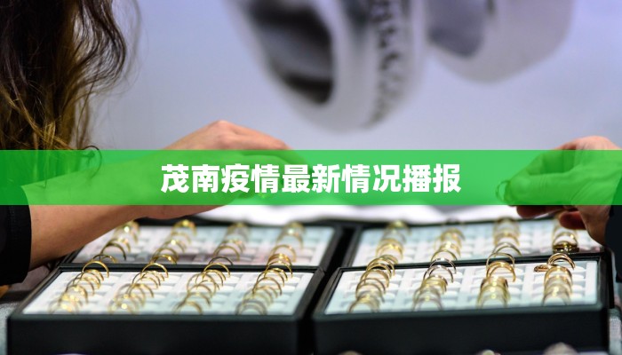 茂南疫情最新情况播报