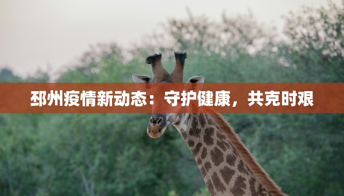 周庄疫情最新确诊：守护古镇的健康防线