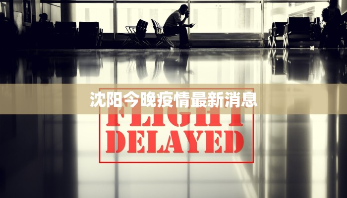 沈阳今晚疫情最新消息 沈阳今晚疫情最新消息