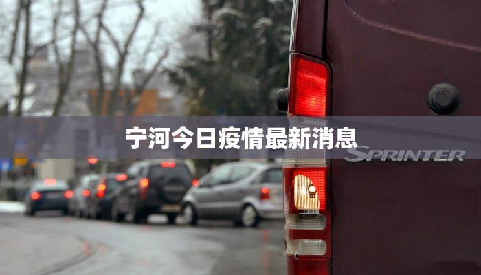 宁河今日疫情最新消息 宁河今日疫情最新消息