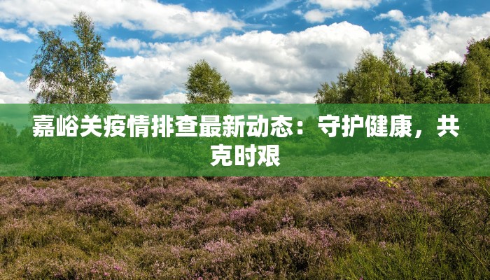 嘉峪关疫情排查最新动态：守护健康，共克时艰