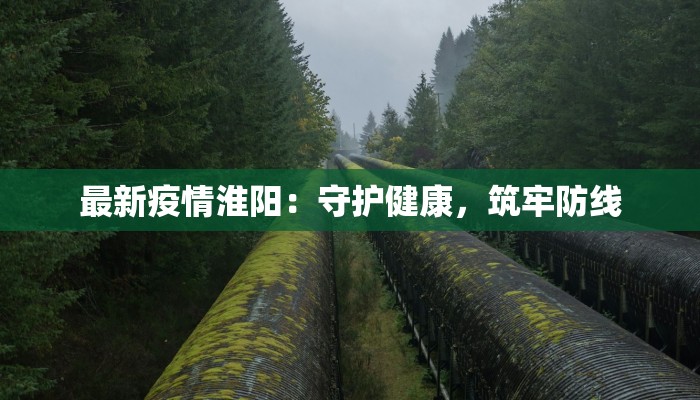 最新疫情淮阳：守护健康，筑牢防线