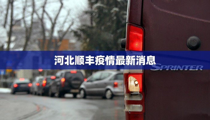 海口新增疫情最新