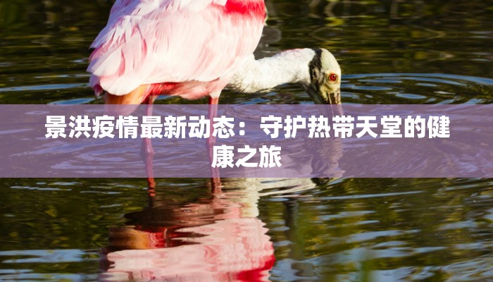 景洪疫情最新动态:守护热带天堂的健康之旅 景洪疫情最新动态:守护热带天堂的健康之旅