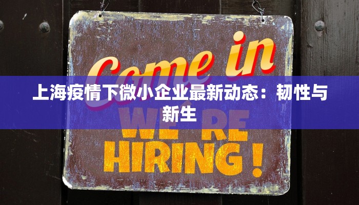 上海疫情下微小企业最新动态：韧性与新生