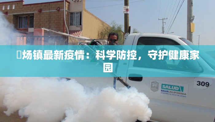 烔炀镇最新疫情：科学防控，守护健康家园