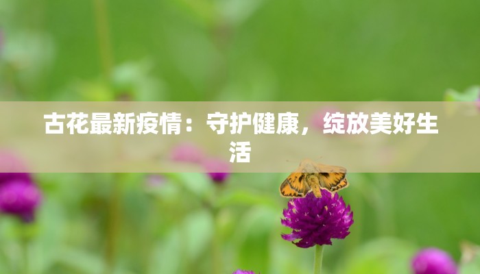 古花最新疫情：守护健康，绽放美好生活